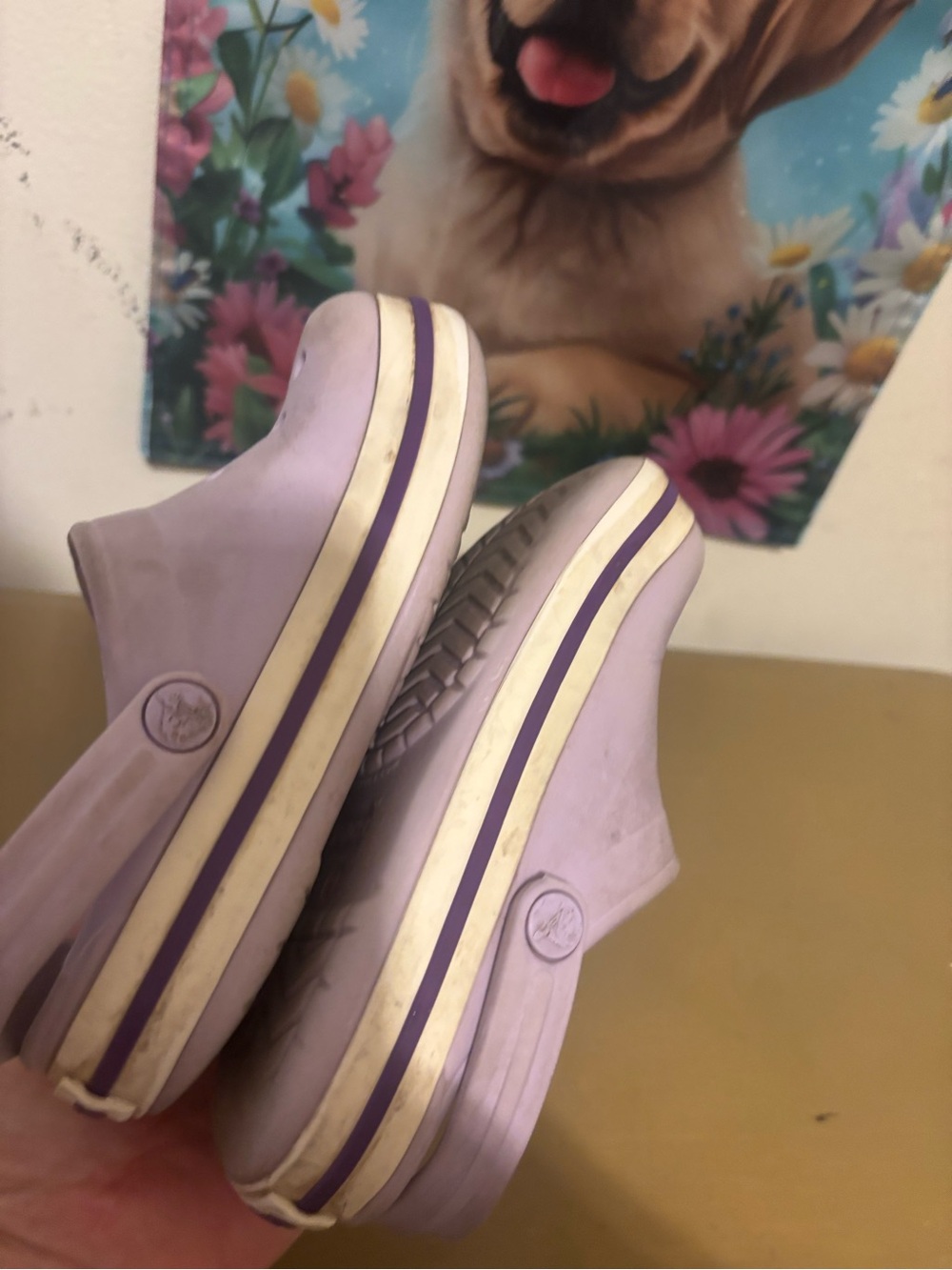 CROCS Kids Lavender Slip-On Clogs with Purple Trim - Picture 8 of 10